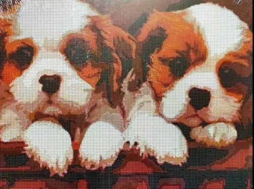 Peinture diamant chiots 40x50 cm : décorez votre salon avec ce kit complet