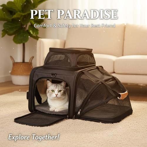 Image of JUNGYOON Cat Carrier, Expandable Airline-Approved Soft-Sided Pet Travel Bag for Cats, Small Dogs & Small Pets, Breathable Mesh Design with Multi-Pockets & Fleece Pad (Dark Grey)