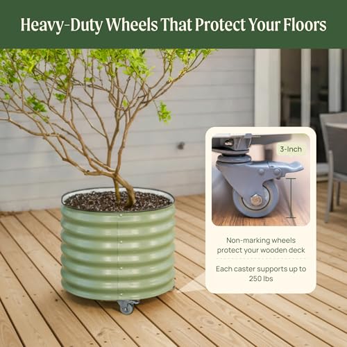 Image of Rolling Metal Citrus Tree Planter Pot, 27″ Round Planter Box for Porch Patio & Backyard, 45 Gallon Large Planter Pot with Wheels for Growing Olive Trees Tomatoes Vegetables and Flowers, Pearl White