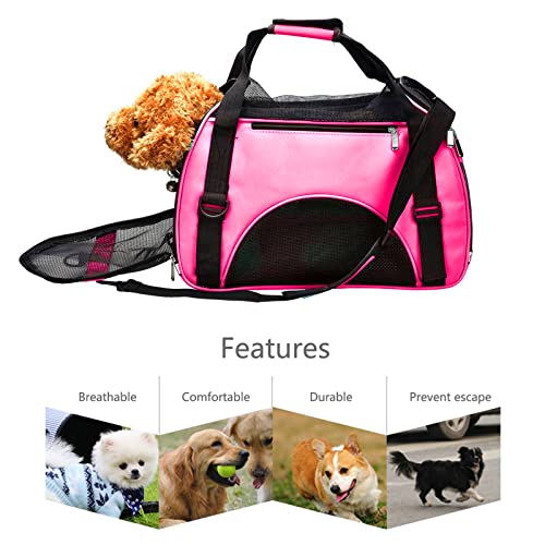 PETCUTE Hundetasche hundetragetasche Tragetasche für Katze Faltbar Transporttasche für kleine Hunde und Katzen - Image 7