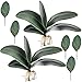 Hinyo 7 Pcs Big Size Artificial Green Phalaenopsis Artificial Orchid Leaves Green Plant Garden Bonsai Decor (7 Pcs)