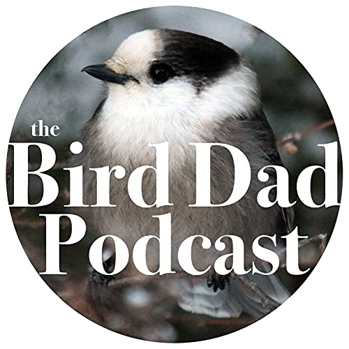 The Bird Dad Podcast cover art