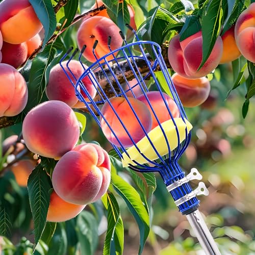 Herramienta telescópica para recolectar frutas RAIN SPIRIT 6FT miniatura 5