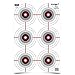 Birchwood Casey 12" x 18" Eze-Scorer Multiple Bull