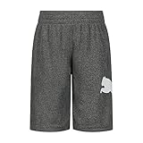 Picture of PUMA boys Core Essential Athletic Shorts, Charcoal Heather, X-Large US
