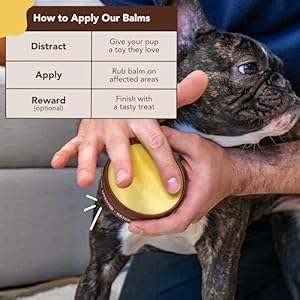 Natural-Dog-Company-Skin-Soother-4-oz-Tin-Allergy-and-Itch-Relief-for-Dogs-Dog-Moisturizer-for-Dry-Skin-Dog-Lotion-Ultimate-Healing-Balm-Dog-Rash-Cream - Cucciolini Doodles   Natural-Dog-Company-Skin-Soother-4-oz-Tin-Allergy-and-Itch-Relief-for-Dogs-Dog-Moisturizer-for-Dry-Skin-Dog-Lotion-Ultimate-Healing-Balm-Dog-Rash-Cream