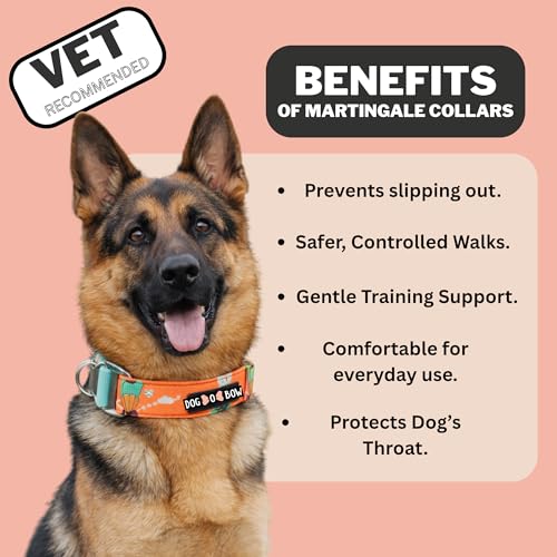 Image of Dog-O-Bow Hot Air Balloon Print Martingale Dog Collar, Durable, Comfortable & Adjustable Training Collar (Medium)