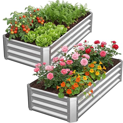 Reachible 2Packs 4x2x1 FT Galvanized Raised Garden Beds Outdoor, Planter Raised Beds for Gardening, Vegetables, Flowers, Metal Garden Box, Deep Plant Flower pots Outdoor
