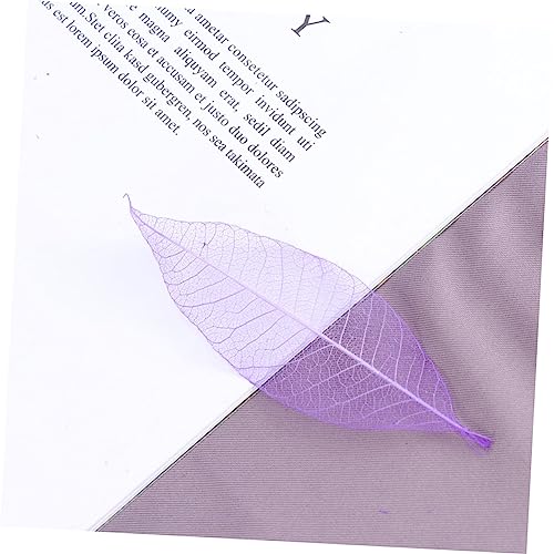 HOOTNEE 50 Peças Folhas De Esqueleto Enfeite De Folha De Esqueleto Flores Secas DIY Marcador Folhas