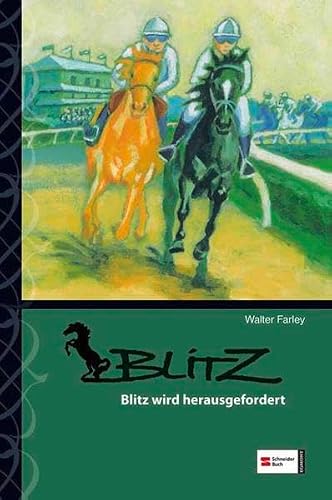 Preisvergleich Produktbild Blitz, Band 10: Blitz wird herausgefordert