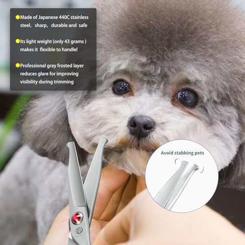 Purple Dragon Small Dog Scissors Straight with Professional Gray Anti-Glare Coating and Silencer, Safe Round Head, Straight Scissors - Image 2