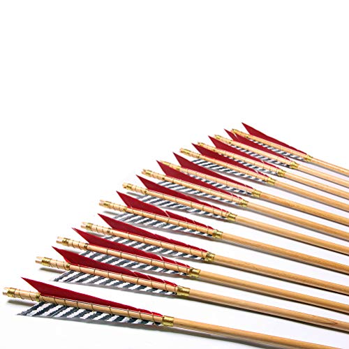 PG1ARCHERY Archery Wooden English Longbow Arrows Practice Targeting Arrow 5.8' Turkey Feathers Fletching with Bullet Points for Recurve & Traditional Bow White Red, 12 Pack