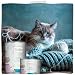 MjAMjAM - Premium Nassfutter für Katzen - Senior - saftiges Hühnchen, 6er Pack (6x200g), getreidefrei
