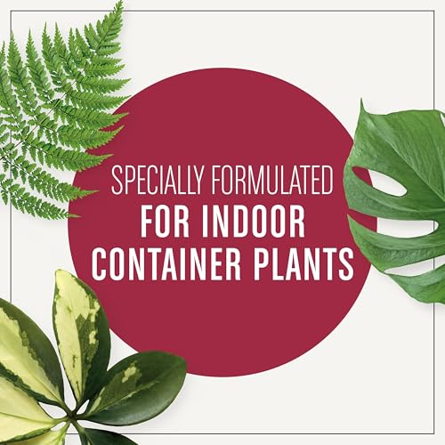 Miracle-Gro-Houseplant-Potting-Mix-Fertilized-Perlite-Soil-for-Indoor-Gardening-Designed-to-Be-Less-Prone-to-Gnats-4-qt