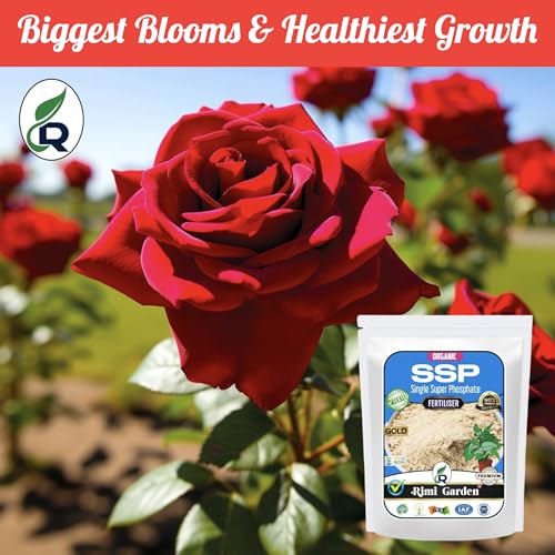Image of Rimi Garden Ssp Single Super Phosphate, Essential Organic Fertilizer For Plant Growth With ++ Charged Growth Microbes(900 Gm), Powder