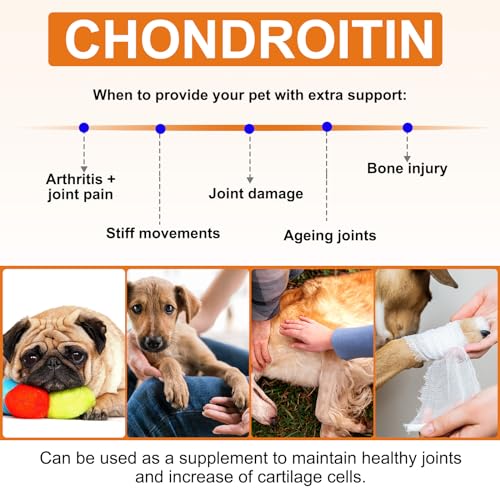 Joint Supplement for Dogs, Dog Joint Supplements with Glucosamine, Chondroitin, Hip & Joints Care for Dogs All Breeds Ages, 60 Softchews - Image 5