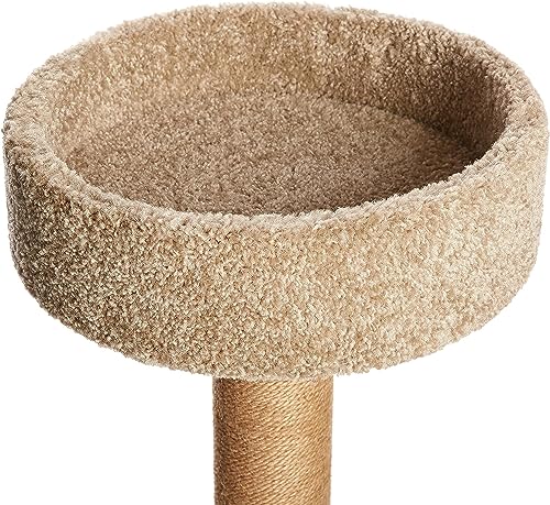 Image of Amazon Basics Cat Tree - Multi-Level Climbing Activity Tower with Jute Rope Scratching Posts for Indoor Cats & Kittens, Medium (31.5 inchH), Beige