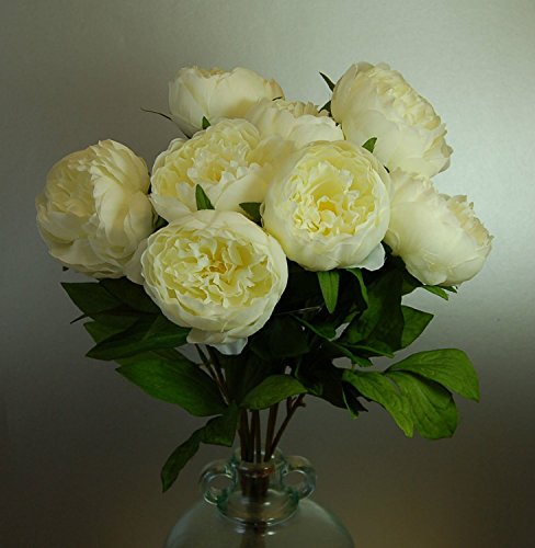 Eight Stems of Artificial Cream Peonies, Ivory