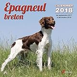  Epagneul breton 2018