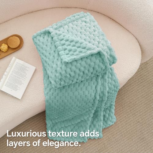 Image of BEDELITE Haze Blue Throw Blanket for Couch, Soft Cozy Gift for Women, 50*60 | 3D Jacquard Decorative Fleece Blanket, Super Soft Plush Throws, Cute Birthday Gift for Women & Men, Suitable for All Seasons