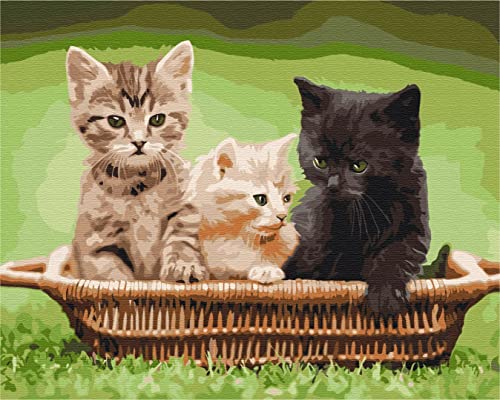 Peinture par numéro chat débutant sans savoir dessiner kit 40x50