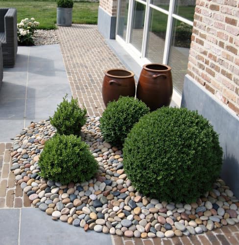 Image of Pulovin 40 lbs River Rocks for Landscaping, 2 inch-3 inch Decorative Garden Stones for Plants, Flower Pots, Vase, Walkways, Yard, Natural Rocks for Aquarium, Fish Tank