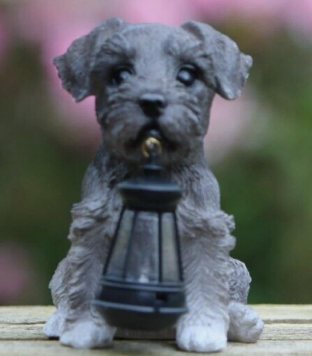 Hh Home Hut Multicolor Garden Ornaments Outdoor Solar Lantern Dog Garden Statue Decor Unique Gardening Presents For Decorations
