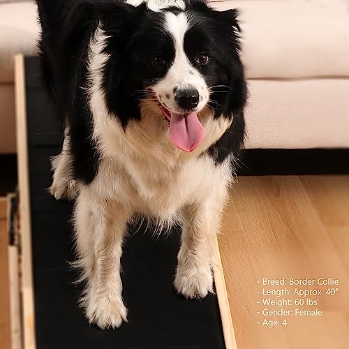 Woohoo Dog Ramp - with Innovative Non-Slip Rubber Mat - for Couch and Bed - 41" Long and Adjustable from 14" to 24" - Great for Pets of All Ages by Woohoo Lab - Image 6