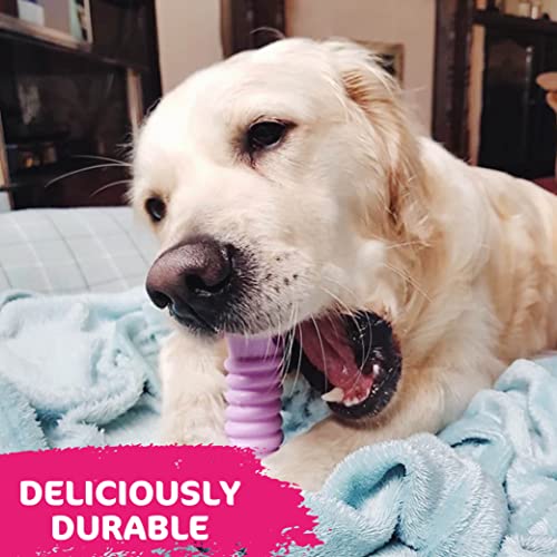 TastyBone TastyBrush Dental Nylon Dog Chew Toy (Raspberry Mint), Strong Healthy Teeth & Gums - Image 3
