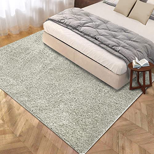 Zacoo Shag Area Rug For Living Room Solid Modern Plush Rug Carpet Non-Shedding Washable Fluffy Area Rug Shaggy Rug For Bedroom Kids Room Nursery Dining Room (6' X 9', Mist Grey) #TOP6