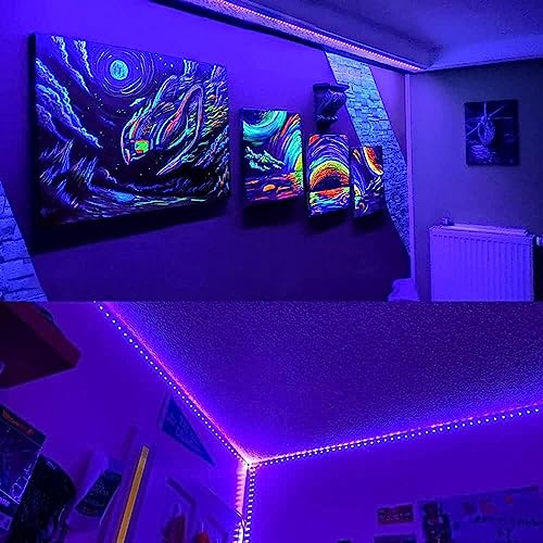 Tira LED UV Negro 5m 300 LEDs Impermeable con Fuente 12V miniatura 4