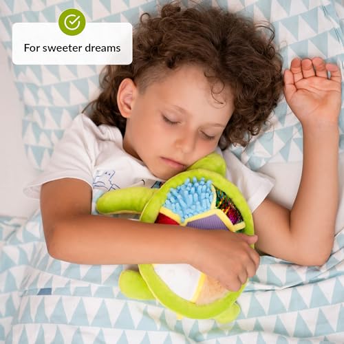 Image of ODOXIA Sensory Turtle Stuffed Animal | Plush Toy | Fidget Stuffed Animal for Kids | Great for Sensory Needs | Pillow Plush for Children