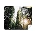 Green Forestry Science Nature Scenery Cleaning Cloth Screen Cleaner 2pcs Suede Fabric