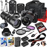 Sony a7 III Mirrorless Camera...