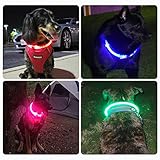 Nepfaivy Leuchthalsband Hund USB Aufladbar - Wasserdichtes Hundehalsband Leuchtend mit 3 Beleuchtungsmodi, Längenverstellbareres LED Halsband für Kleine, Mittlere und Große Hunde (Blau)