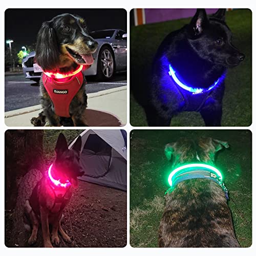 Nepfaivy Leuchthalsband Hund USB Aufladbar - Wasserdichtes Hundehalsband Leuchtend mit 3 Beleuchtungsmodi, Längenverstellbareres LED Halsband für Kleine, Mittlere und Große Hunde (Grün)