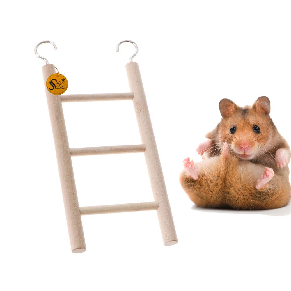 Sage Square Playful Natural Wooden Climbing Ladder Toy for Exercise & Fun || with Hooks || for Hamsters, Sugar Glider, Dwarf, Rat, Mice, Gerbil || 3 Stairs / 18.5cm (B08KGB8ZF5) Amazon Price History, Amazon Price Tracker