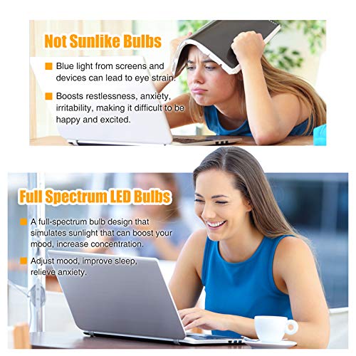 Image of Full Spectrum Light Bulb, 6000K Natural Sunlight Bulbs, 9W 60W Equivalent LED Light Bulb, Natural Light Bulbs A19, E26 /E27, 8 Pack
