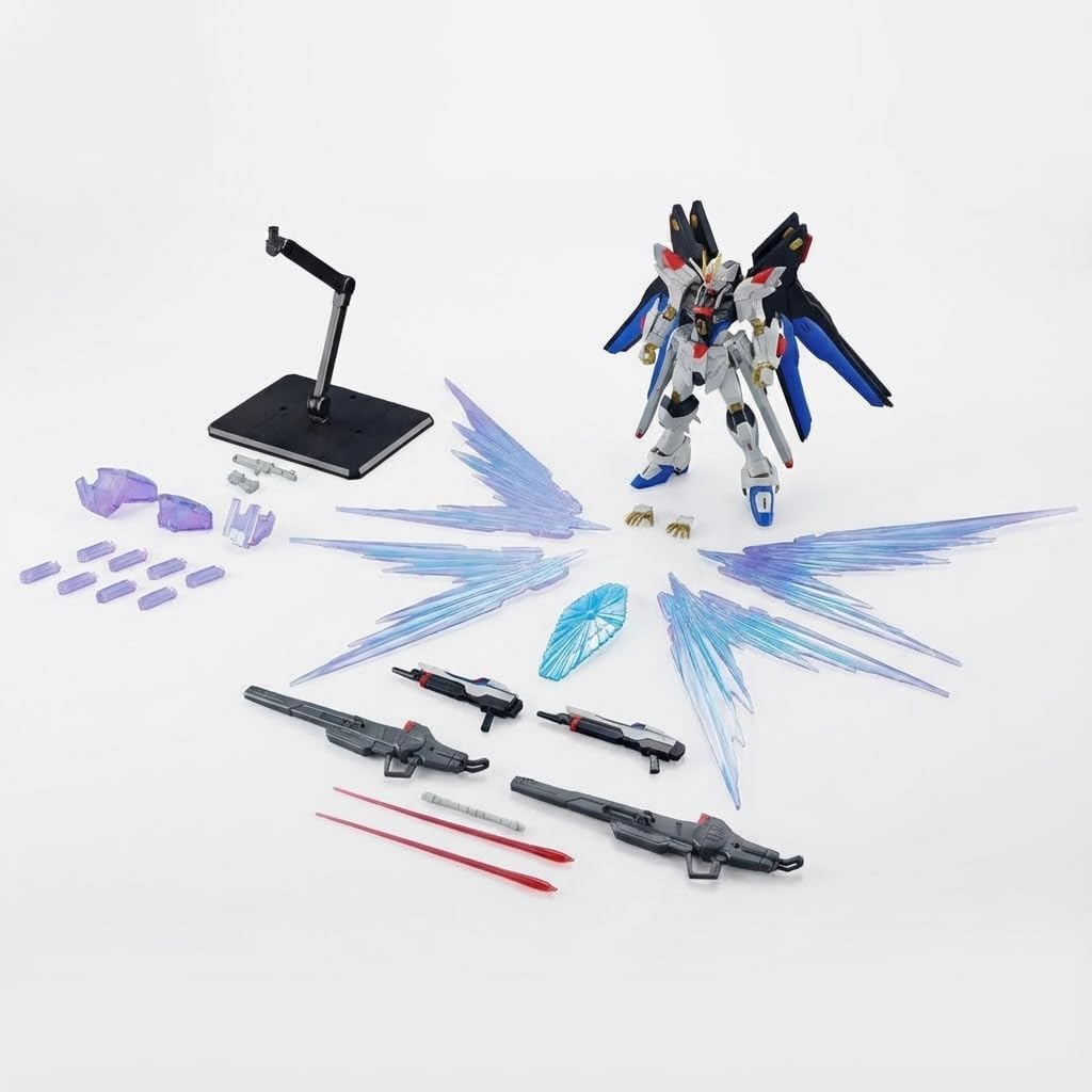 専用GNアームズTYPE-EストライクフリーダムガンダムSOULBLUE＆光の翼 Amazon | HG 1/144 ストライクフリーダムガンダム弐式&光の翼