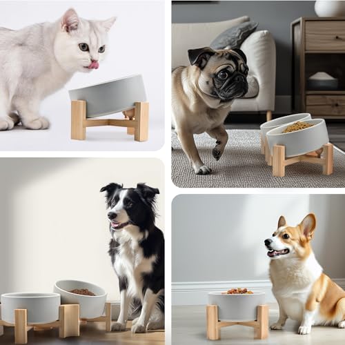 SPUNKYJUNKY 15° Kippbare Keramik Hundenapf mit Holzständer Futter und Wassernapf rutschfest für Hunde und Katzen mit Flachen Gesichtern Kleinen und Mittelgroßen Hunden (400ml × 2, Grau)