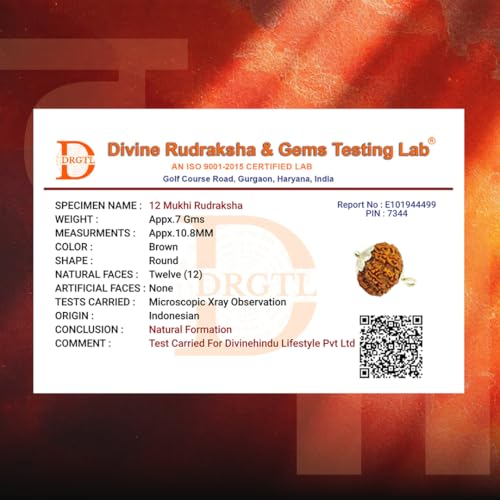 Image of Divine Hindu Original 12 Mukhi Nepali Rudraksha Lab Certified -Twelve Face Bead Blessed by Lord Surya for Leadership & Authority | Energized Sun God Pendant for Success & Self Confidence