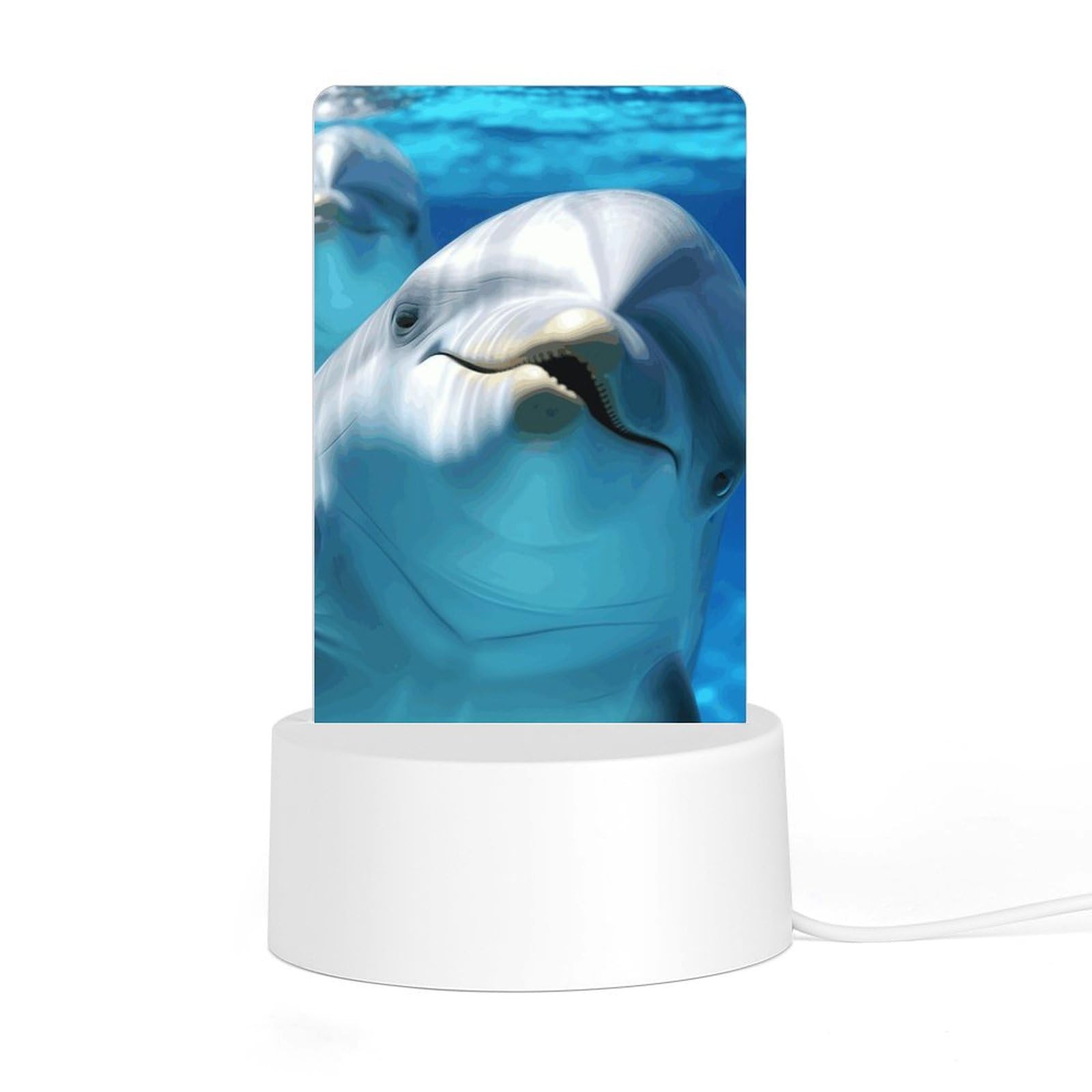 JTREHY - Acrylic Night Light with Base, Dolphin with a Smile Printed Computer LED Night Light for Bedroom, Bathroom, Hallway, Holiday Gift