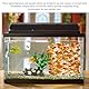 4 Stück Laichblätter, 2 Stück Wasserpflanzen, Aquarium-Haustierbedarf, Echte Wasserpflanzen, Aquariumdekorationen, Gefälschte Wasserpflanzen, Mikrolandschaftspflanzen