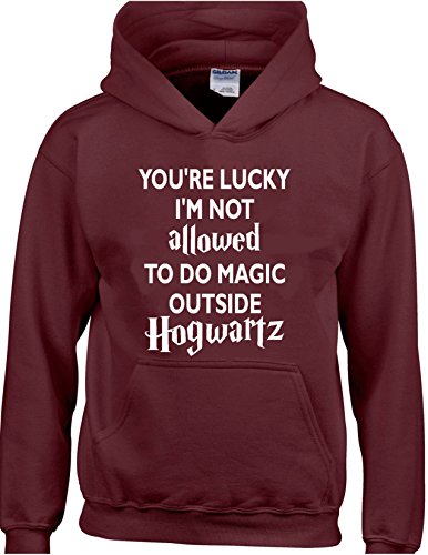 AMBRAT - Sweat-Shirt à Capuche - Homme Bordeaux Bordeaux - Bordeaux - Petit