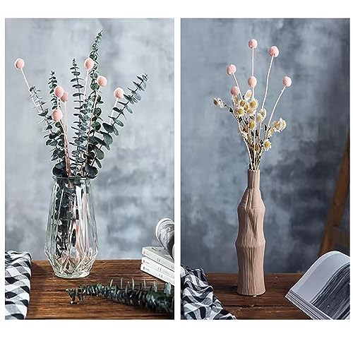 30 flores naturales secas Craspedia Billy Balls rosas miniatura 6