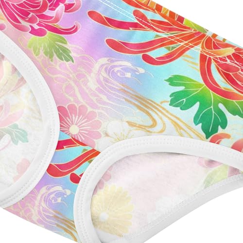 Toddler Girls Underwear 2t Cotton Panties for Girl Flower Underpants Briefs Traditional Colorful Floral4
