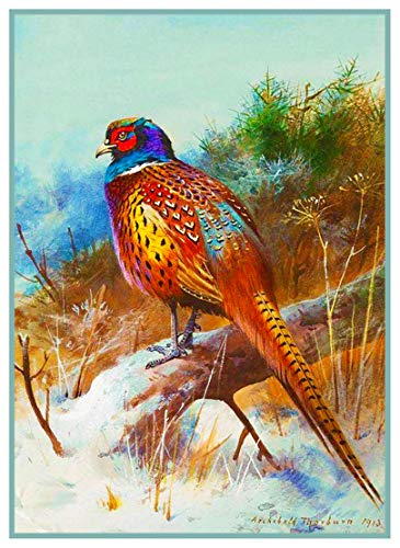 Orenco Originals Pheasant Winter Archibald Thorburn Bird Counted Cross Stitch Pattern