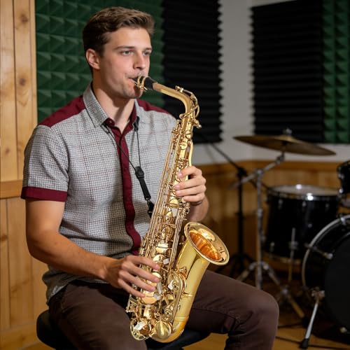 Image of Beginner Alto Saxophone, E Flat - Complete Starter Kit with Case & 10 Reeds, for Adults & Students, Easy to Play for School Band & Practice(Gold)
