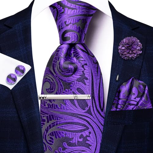 Image of Hi-Tie Mens Paisley Floral Striped Ties Set Silk Necktie and Lapel Pin for Men Pocket Square Cufflinks Set Business Wedding