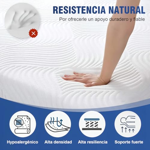 La Mejor Selección de Colchon Ortopedico Precio favoritos de las personas. 6 Imagen adicional
